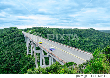 The Bacunayagua Bridge, located in Cuba, is the highest bridge on the island. 141160510