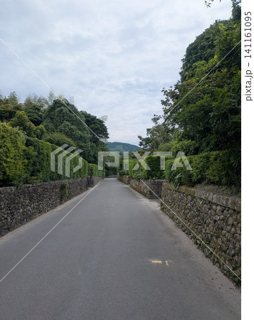 風情ある石積みと青葉が美しい伝統的な武家屋敷通りの景観 風情ある石積みと青葉が美しい伝統的な武家屋敷通りの景観 141161095