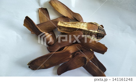 Pile of Dried Winged Mahogany Seeds on White Background Pile of Dried Winged Mahogany Seeds on White Background 141161248