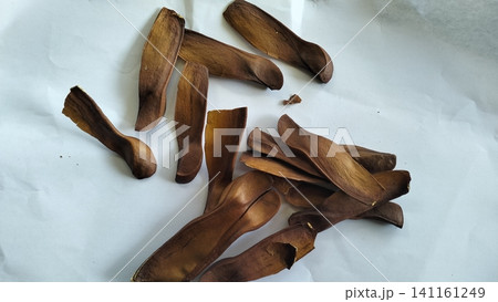 Pile of Dried Winged Mahogany Seeds on White Background Pile of Dried Winged Mahogany Seeds on White Background 141161249