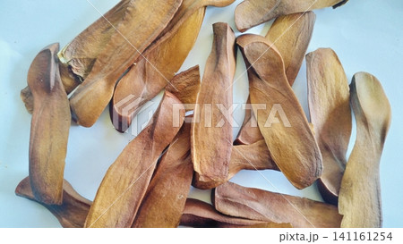 Pile of Dried Winged Mahogany Seeds on White Background Pile of Dried Winged Mahogany Seeds on White Background 141161254