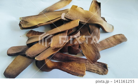 Pile of Dried Winged Mahogany Seeds on White Background Pile of Dried Winged Mahogany Seeds on White Background 141161255