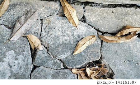 Dry Autumn Leaves Scattered on Cracked Concrete Surface Dry Autumn Leaves Scattered on Cracked Concrete Surface 141161397