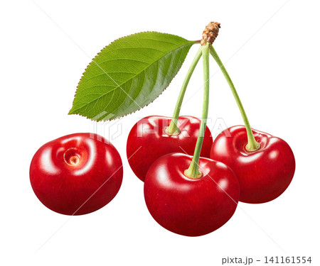 Bunch of three cherries and single berry isolated on white background. Real photography Bunch of three cherries and single berry isolated on white background. Real photography 141161554