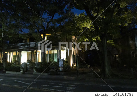 山手234番館の夜景 141161783