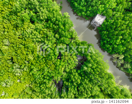 Aerial view green mangrove forest. Natural carbon sinks. Mangroves trees capture CO2. Blue carbon ecosystems. Mangroves absorb carbon dioxide emissions and mitigating global warming. Green ecosystem. Aerial view green mangrove forest. Natural carbon sinks. Mangroves trees capture CO2. Blue carbon ecosystems. Mangroves absorb carbon dioxide emissions and mitigating global warming. Green ecosystem. 141162094