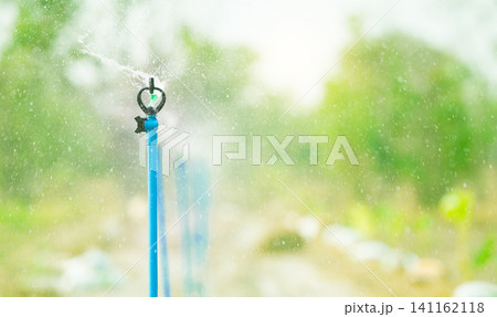 Automatic sprinkler watering green plant garden. Sustainable agriculture. Sprinkler for agriculture. Garden irrigation system. Sprinkler maintenance services. Water splashing. System for plant care. Automatic sprinkler watering green plant garden. Sustainable agriculture. Sprinkler for agriculture. Garden irrigation system. Sprinkler maintenance services. Water splashing. System for plant care. 141162118
