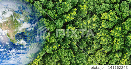Green forest tree merged earth globe. Global ecosystem conservation and environmental protection during climate crisis. Worldwide biodiversity. Sustainable environment. Earth image provided by Nasa. 141162248