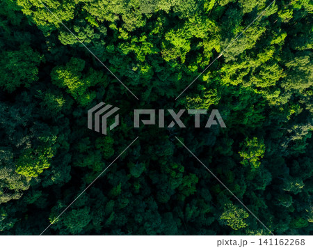 Aerial top view of green trees in forest. Drone view of dense green tree captures CO2. Green tree nature background for carbon neutrality and net zero emissions concept. Sustainable green environment. Aerial top view of green trees in forest. Drone view of dense green tree captures CO2. Green tree nature background for carbon neutrality and net zero emissions concept. Sustainable green environment. 141162268