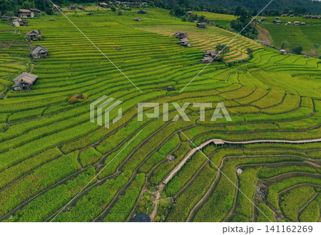 Landscape of green rice terraces amidst mountain agriculture. Travel destinations in Chiangmai, Thailand. Terraced rice fields. Traditional farming. Asian food. Thailand tourism. Nature landscape. 141162269