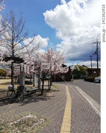 レンガ造の建造物と桜 レンガ造の建造物と桜 141162918