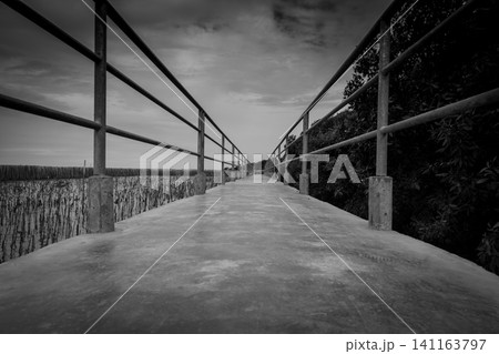 Perspective view of concrete bridge with metal fence on mangrove forest against dramatic grey sky and clouds. Grief, hopeless and despair concept. Lonely and sad emotional. Black and white background. Perspective view of concrete bridge with metal fence on mangrove forest against dramatic grey sky and clouds. Grief, hopeless and despair concept. Lonely and sad emotional. Black and white background. 141163797