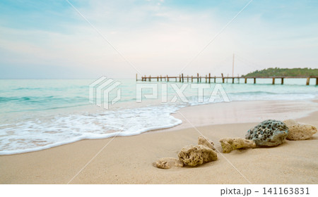 Corals on sand beach by the sea with blue sky and white clouds. Summer vacation on tropical paradise beach concept. Ripple of water splash on sandy beach. Summer vibes. Coral that were washed ashore. 141163831