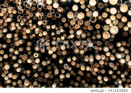 Pile of bamboo pole. Stack of round timber logs. Large batch of wooden logs for industrial scale or manufacturing. Warehouse of material for furniture factory. Art of bamboo abstract background. Pile of bamboo pole. Stack of round timber logs. Large batch of wooden logs for industrial scale or manufacturing. Warehouse of material for furniture factory. Art of bamboo abstract background. 141163884