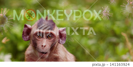 Monkeypox outbreak concept. Monkeypox is caused by monkeypox virus. Monkeypox is a viral zoonotic disease. Virus transmitted to humans from animals. Monkeys may harbor the virus and infect people. 141163924
