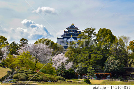 岡山後楽園の風景〜桜の向こうにそびえる岡山城 141164055
