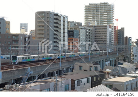 高架複々線を行く西武池袋線30000系電車 高架複々線を行く西武池袋線30000系電車 141164150