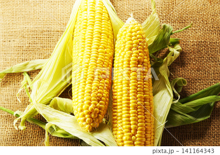 旬の野菜、夏のとうもろこし・トウモロコシ・玉蜀黍 旬の野菜、夏のとうもろこし・トウモロコシ・玉蜀黍 141164343