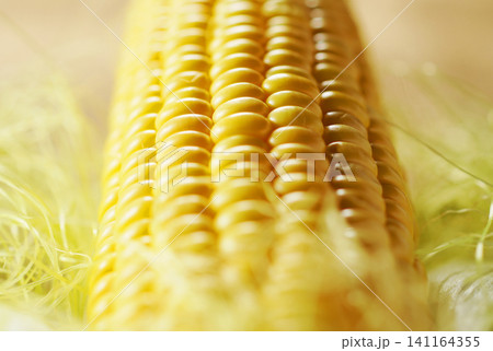 旬の野菜、夏のとうもろこし・トウモロコシ・玉蜀黍 旬の野菜、夏のとうもろこし・トウモロコシ・玉蜀黍 141164355