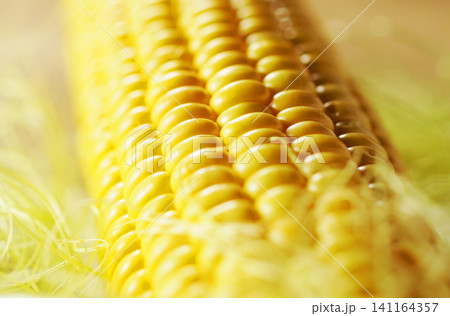 旬の野菜、夏のとうもろこし・トウモロコシ・玉蜀黍 旬の野菜、夏のとうもろこし・トウモロコシ・玉蜀黍 141164357