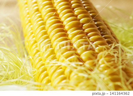 旬の野菜、夏のとうもろこし・トウモロコシ・玉蜀黍 旬の野菜、夏のとうもろこし・トウモロコシ・玉蜀黍 141164362