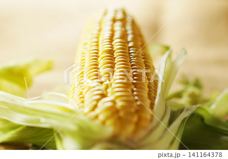 旬の野菜、夏のとうもろこし・トウモロコシ・玉蜀黍 旬の野菜、夏のとうもろこし・トウモロコシ・玉蜀黍 141164378