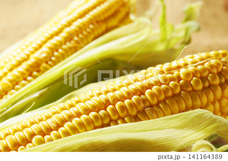 旬の野菜、夏のとうもろこし・トウモロコシ・玉蜀黍 旬の野菜、夏のとうもろこし・トウモロコシ・玉蜀黍 141164389