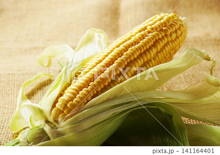 旬の野菜、夏のとうもろこし・トウモロコシ・玉蜀黍 旬の野菜、夏のとうもろこし・トウモロコシ・玉蜀黍 141164401