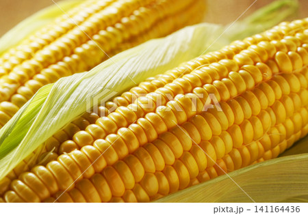 旬の野菜、夏のとうもろこし・トウモロコシ・玉蜀黍 旬の野菜、夏のとうもろこし・トウモロコシ・玉蜀黍 141164436