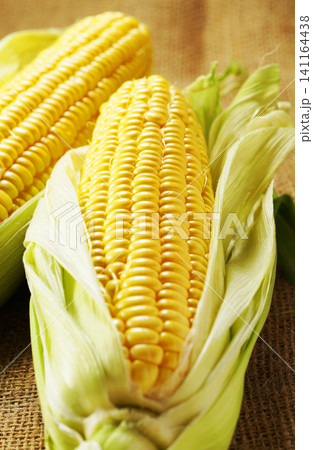 旬の野菜、夏のとうもろこし・トウモロコシ・玉蜀黍 旬の野菜、夏のとうもろこし・トウモロコシ・玉蜀黍 141164438