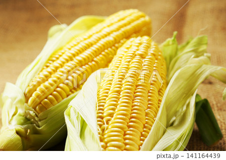 旬の野菜、夏のとうもろこし・トウモロコシ・玉蜀黍 141164439