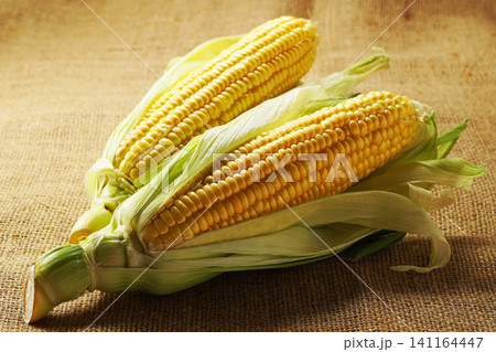 旬の野菜、夏のとうもろこし・トウモロコシ・玉蜀黍 旬の野菜、夏のとうもろこし・トウモロコシ・玉蜀黍 141164447