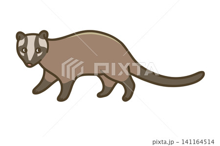 ハクビシンのイラスト(害獣・外来動物・住宅被害対策) ハクビシンのイラスト(害獣・外来動物・住宅被害対策) 141164514