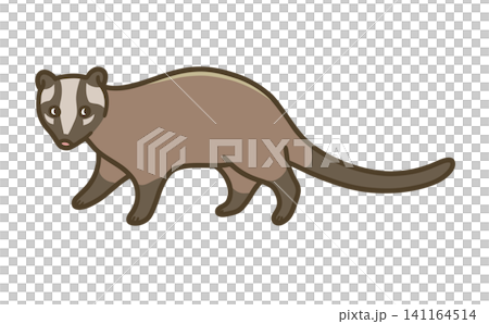 ハクビシンのイラスト(害獣・外来動物・住宅被害対策) ハクビシンのイラスト(害獣・外来動物・住宅被害対策) 141164514