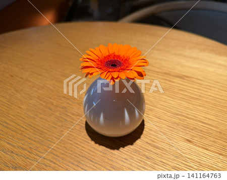 Bright orange gerbera in small white ceramic vase decorates wooden table in modern cafe with soft background blur. Floral decor, minimal design, cozy atmosphere, hospitality, interior Bright orange gerbera in small white ceramic vase decorates wooden table in modern cafe with soft background blur. Floral decor, minimal design, cozy atmosphere, hospitality, interior 141164763