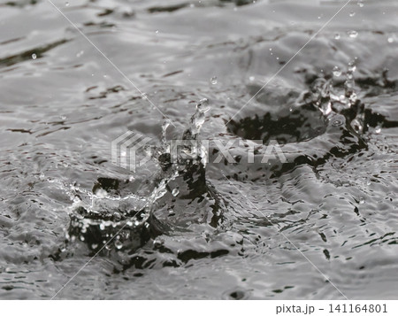 水面に落ちる水滴 141164801