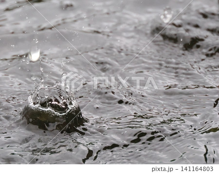 水面に落ちる水滴 141164803