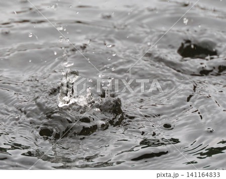 水面に落ちる水滴 水面に落ちる水滴 141164833