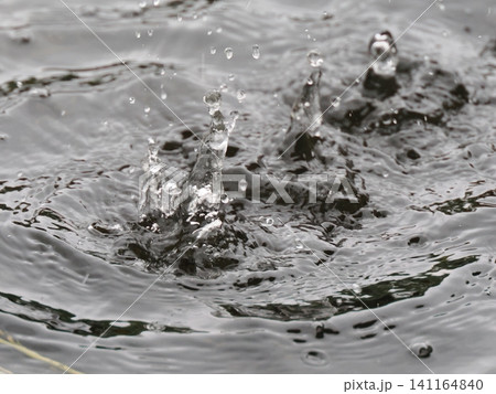 水面に落ちる水滴 水面に落ちる水滴 141164840