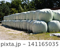 Silage bales stored at modern livestock farm outdoors 141165035