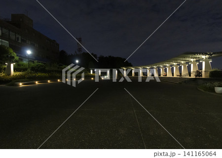 港の見える丘公園の夏 港の見える丘公園の夏 141165064
