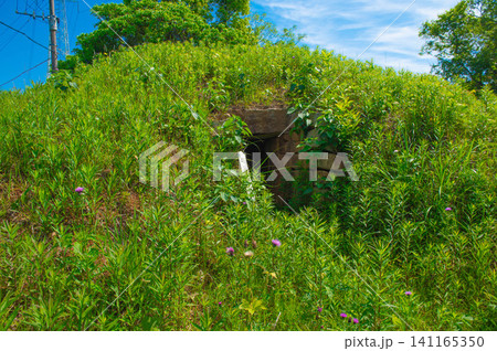 大戸鼻古墳群「中古墳」 大戸鼻古墳群「中古墳」 141165350