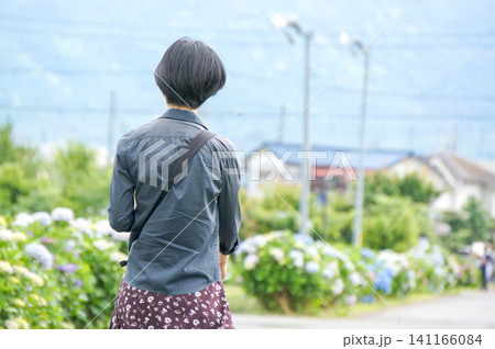 あじさいに包まれて歩く女性の夏の思い出 141166084