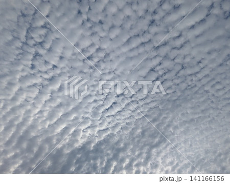 一面に広がるうろこ雲といわし雲 秋の空の背景素材 一面に広がるうろこ雲といわし雲 秋の空の背景素材 141166156