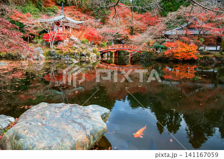Carp swim in pond by Pavilion pagoda and bridge, Daigo-ji, Kyoto Carp swim in pond by Pavilion pagoda and bridge, Daigo-ji, Kyoto 141167059