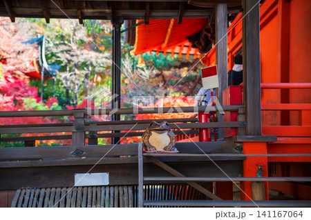 Frog or toad statue on Bishamondo temple in autumn, Kyoto Frog or toad statue on Bishamondo temple in autumn, Kyoto 141167064