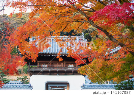 Koshoji Temple gate with autumn maple leaf colors, Uji Koshoji Temple gate with autumn maple leaf colors, Uji 141167087