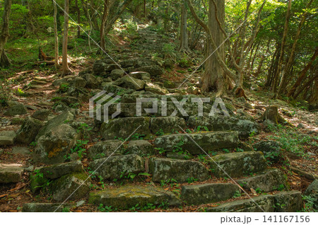 多良岳登山道の石段 141167156