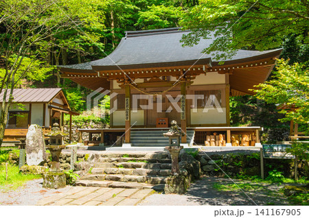 多良岳の金泉寺 多良岳の金泉寺 141167905