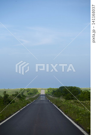 地平線へ続く一直線の道路、広大な草原と青空の風景 141168037